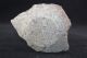 Antique Chinese Rare Beauty Of The Porcelain Vases Vases photo 6