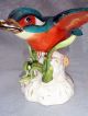 Antique Staffordshire Porcelain 