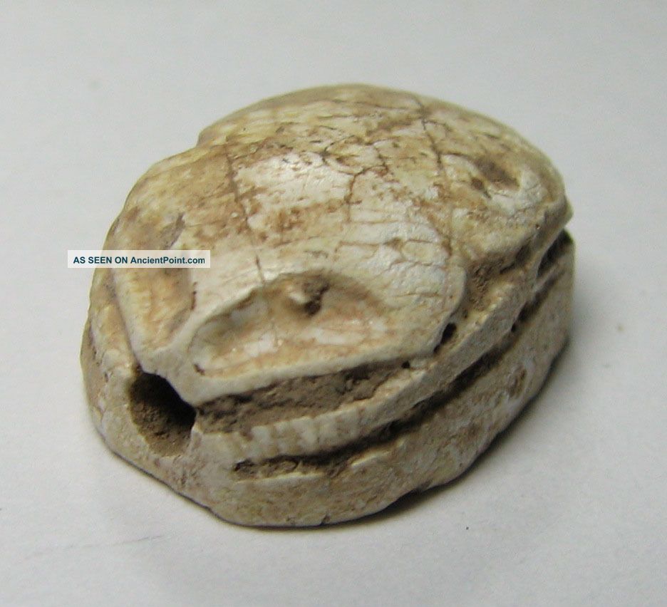 Pc2004uk A Stunning Egyptian Scarab Amulet With Heiroglyphics In Steatite 148q Egyptian photo