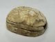 Pc2004uk A Stunning Egyptian Scarab Amulet With Heiroglyphics In Steatite 148q Egyptian photo 4