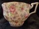 Stoke - On - Trent Salisbury Bone China Chintz Teacup & Saucer Pink Roses Cups & Saucers photo 2