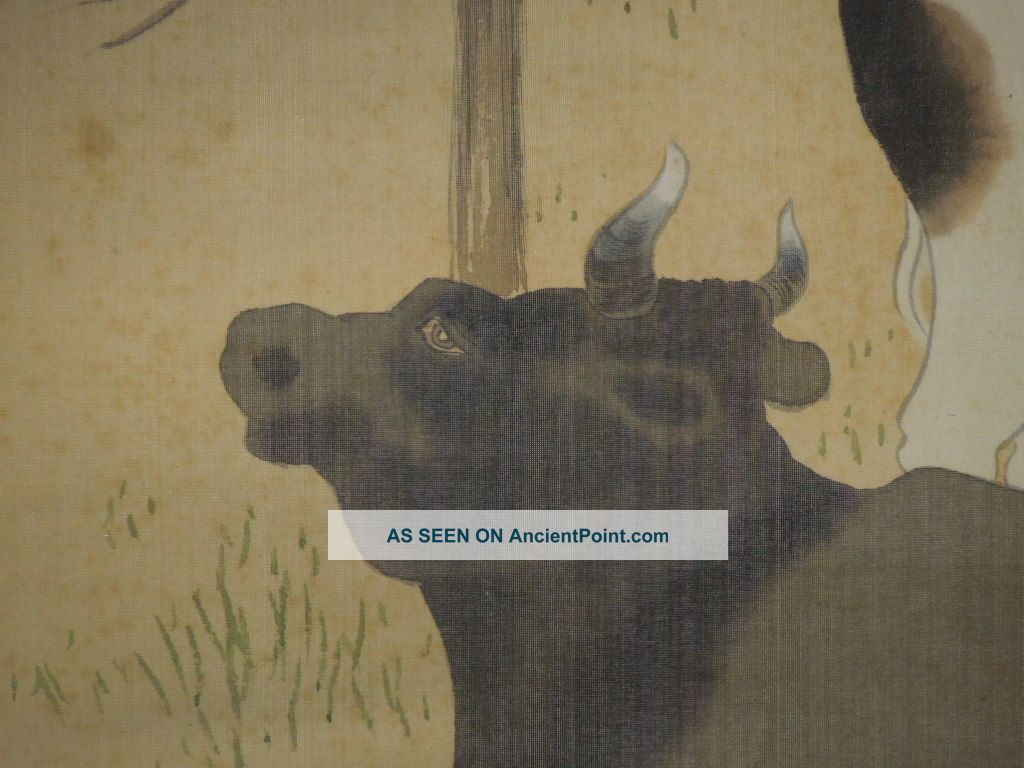 Japanese Hanging Scroll 玉泉 Kakejiku Japan Painting Art Hand Painted Jiku Cow 510 Paintings & Scrolls photo