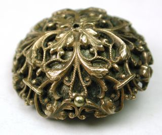 Antique Brass Dome Button Fancy Botanical Overlay photo