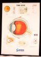 Eye Chart Vintage Medical Anatomical Relief Eyelid Eyeball Retina Cornea Sign 25 Optical photo 1
