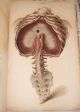 Rare John Lizars 11/12 Parts Surgical Anatomical Plates Ca.  1825 First Edition Other photo 9
