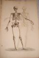 Rare John Lizars 11/12 Parts Surgical Anatomical Plates Ca.  1825 First Edition Other photo 6