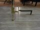 A Pair Of Polished Brass Federal Style Antique Andirons Metalware photo 1