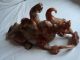 Authentic Chinese Ancient Jade Monster Other photo 1