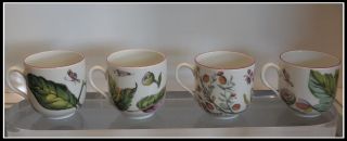 Set Of 4 Mottahedeh Vista Alegra Porcelain Botanical Cups Nr photo