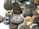 61 Antique Vintage Buttons Victorian Old Picture Fleck Silver Pearl Inlay Wood Buttons photo 3