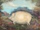 Antique American Folk Art Farm Prized Show Pig Oil Painting Tiger Maple Frame Folk Art photo 1