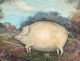Antique American Folk Art Farm Prized Show Pig Oil Painting Tiger Maple Frame Folk Art photo 4