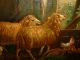 Old Oil Painting,  { Paul - Henry Schouten,  1860 - 1922,  Sheep And Chickens }. Other photo 11
