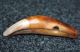 Rare Real Antique African Lion Tooth Pendant Bead From The Congo Jewelry photo 1