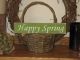 Happy Spring - Wood Sign - Small Wall Shelf Easter Decor Primitives photo 4