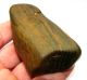Unusual Neolithic - Early Bronze Age Polished Percussion Stone - Found Cambs Neolithic & Paleolithic photo 1