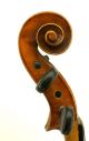 Exceptional Antique Czech Violin - Vladislav Herclick String photo 2