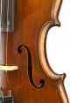 Exceptional Antique Czech Violin - Vladislav Herclick String photo 4
