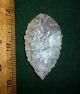Select Serrated Sahara Neolithic Blade,  Point,  Ancient African Arrowhead Aaca Neolithic & Paleolithic photo 1