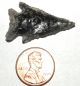 Ancient Indian Artifact Obsidian Arrowhead Wa Primitives photo 1