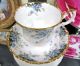 Royal Albert Teacup Windsor Tea Cup And Saucer Duo Royal Choice Cups & Saucers photo 2