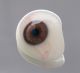 1 Prosthetic Human Eye Finests German Jena Glass Jenaer Glas Ca 1936 Civil War 1 Optical photo 1