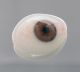 1 Prosthetic Human Eye Finests German Jena Glass Jenaer Glas Ca 1936 Civil War 1 Optical photo 4