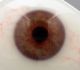 1 Prosthetic Human Eye Finests German Jena Glass Jenaer Glas Ca 1936 Civil War 1 Optical photo 6