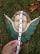 Angel Head Wings Hang Hand Carved Wood Fabulous See More Carved Figures photo 6