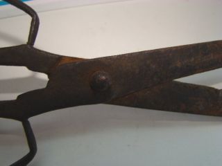 Early 1650 - 1700 ' S Primitive Scissors photo