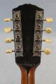 C1910 Antique Gibson A4 8 - String Mandolin W/ Handel Mop Inlaid Tuners String photo 7