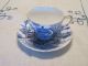 Rare Vintage Shelley England Oleander Glorious Devon Tea Cup & Saucer Mint Cups & Saucers photo 1
