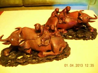 A Pair Of Antique Chinese Redwood Carved Water Buffalo With Riding Children photo