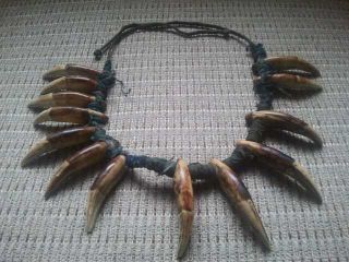 Extremely Rare 13/pc Antique African Lion Tooth Teeth Necklace Must Buy photo