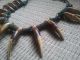 Extremely Rare 13/pc Antique African Lion Tooth Teeth Necklace Must Buy Jewelry photo 1