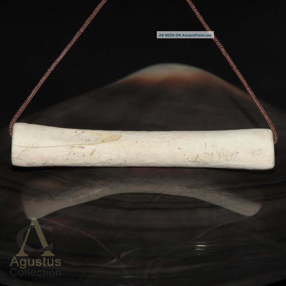 Ancient tubeless Tube Neolithic Ban  8. Shell Chiang 52 G Bead ban Clam beda Rare