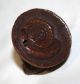 Japanese Antique Netsuke Wood Snake Frog Japan Circa 1920s Netsuke photo 1