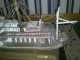 Mississippi Hand Crafted Boat 1850 / 1920 ' S Model Ships photo 10