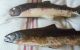 Handmade Handcarved Old Fish Trout Decoy Spoon And Fork Ustensiles Primitives photo 2