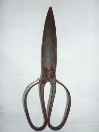Antique Handforged Iron Scissors 19 Century Bulgaria photo