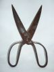 Antique Handforged Iron Scissors 19 Century Bulgaria Primitives photo 2