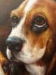 The Basset Hounds - Dog Oil Painting 12 X 16 Inches - Sold Unframed Primitives photo 3