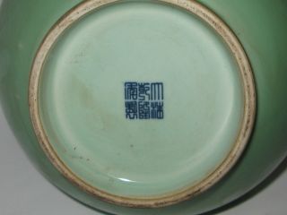 Celadon Porcelain Vases photo