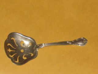 Gorham Sterling Silver Nut Spoon 1895 Sterling photo