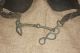 Old Leather Horse Bridle Blinders W/brass Rose Pins,  Bit Etc Islamic photo 1