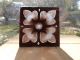Painted And Fired Antique Stained Glass Square Turquoise Wi/black Flower Design 1900-1940 photo 2