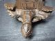 Japanese Antique Wooden Statue Of Tortoise Symbol Of Longevity　loggerhead Statues photo 10