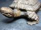 Japanese Antique Wooden Statue Of Tortoise Symbol Of Longevity　loggerhead Statues photo 6