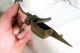 Antique Footed Victorian Brass Candle Wick Trimmer Scissors Other photo 1