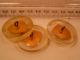 Large Antique Coat Buttons - Brass /clear 1 1/4 